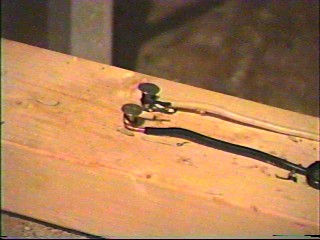 If the wire's fried... where did the dead mouse and food go?